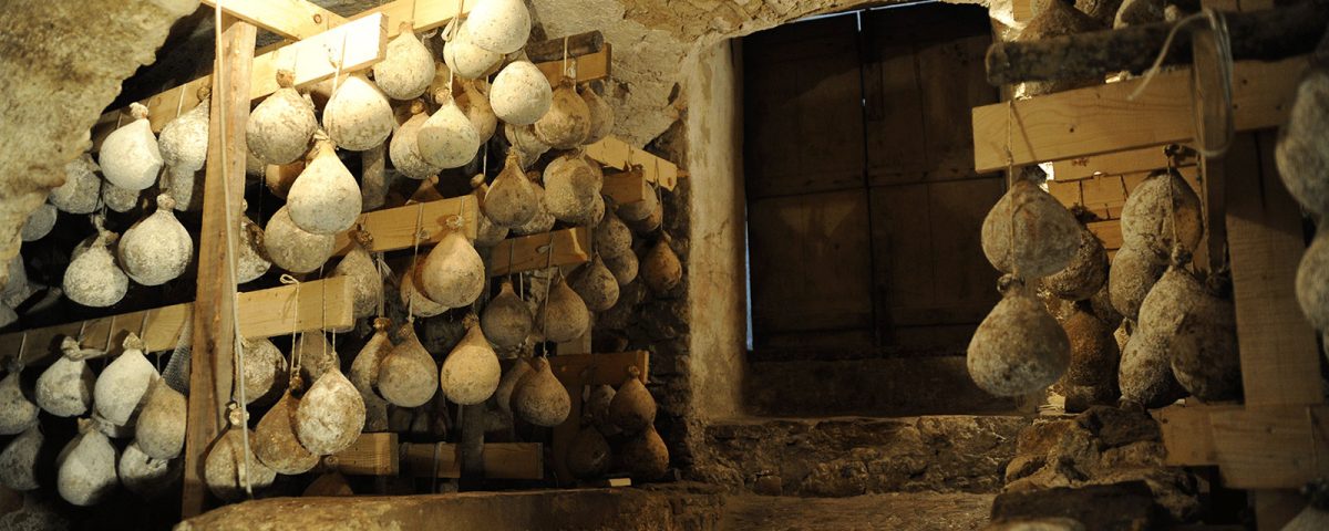 news dal fondo delle grotte al bordo del trebbia