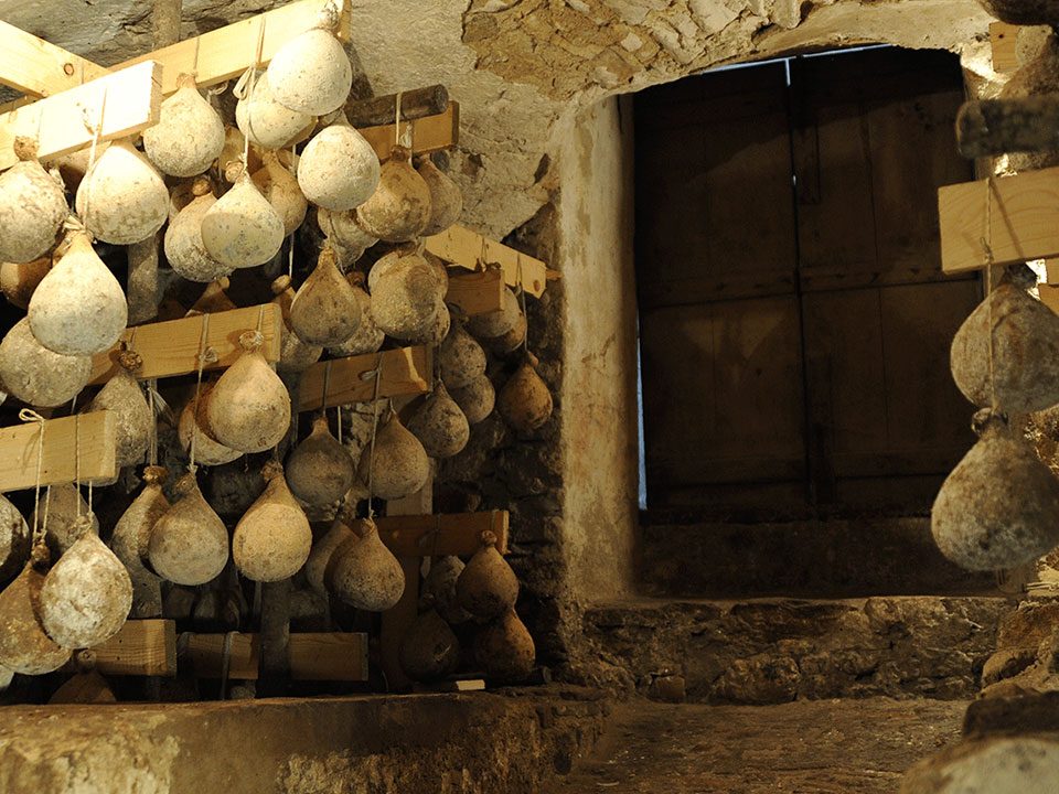 news dal fondo delle grotte al bordo del trebbia