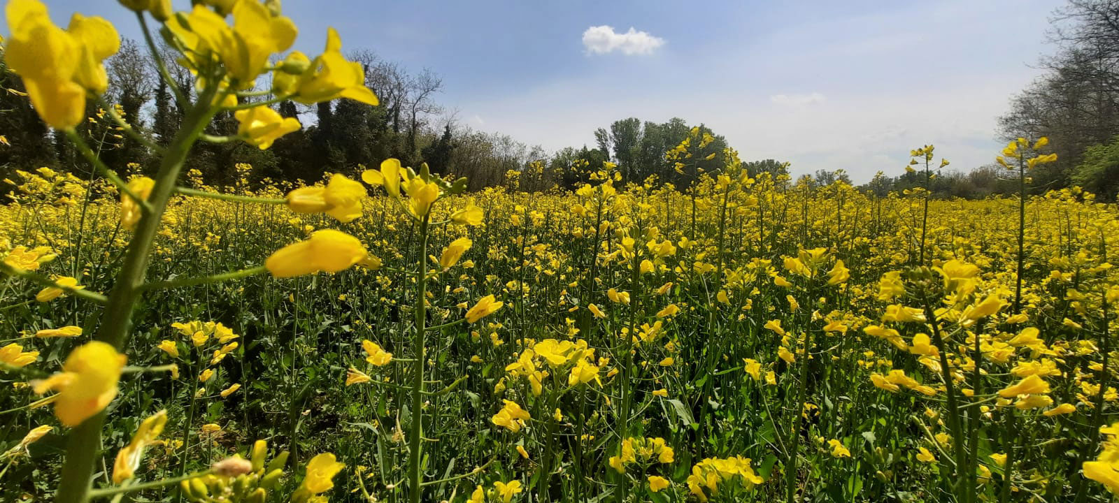 Cosa c’è di nuovo in tavola — maggio 2021